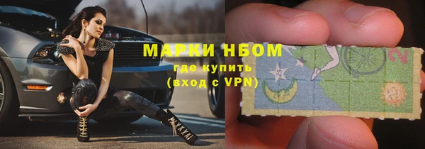 mix Богородицк