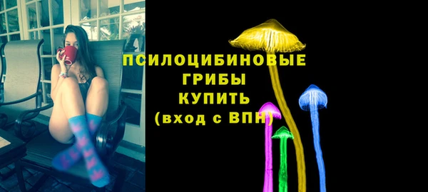 спайс Богородск