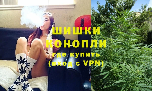 mix Богородицк