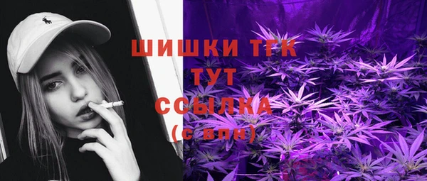 mix Богородицк