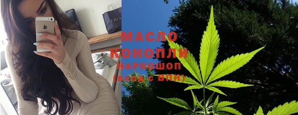 mix Богородицк
